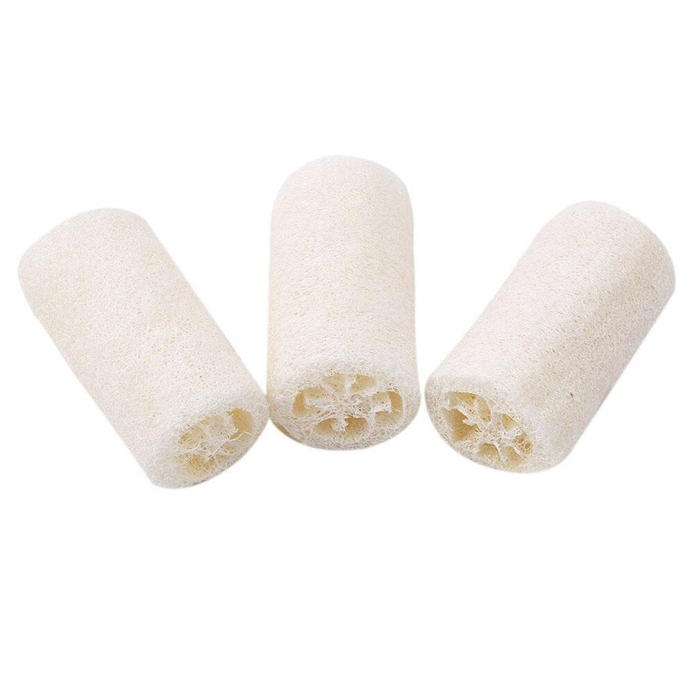 Éponge Luffa - Toilette quotidienne