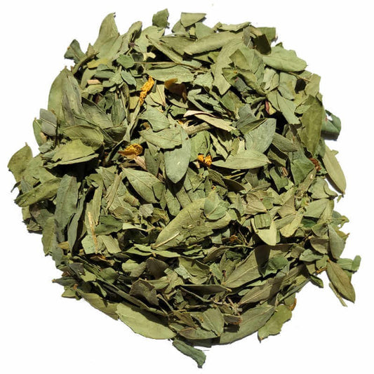 Feuilles de Séné (sana Makki)